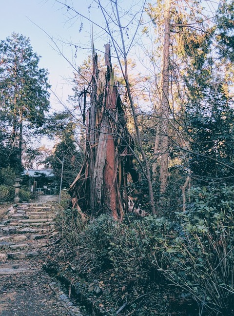 天王山でひと話咲かせましょう　『平穏無事を願う』