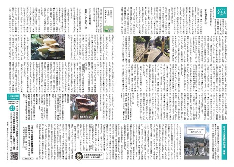 Vol50_縮小_ページ_2-3