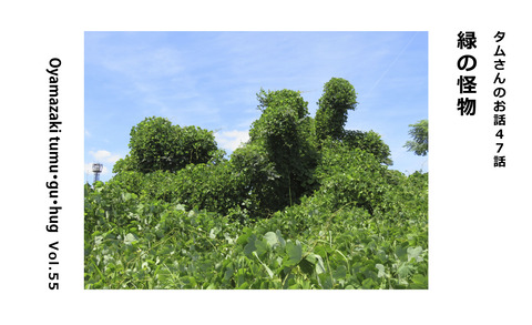  タムさんのお話 第47話「緑の怪物」