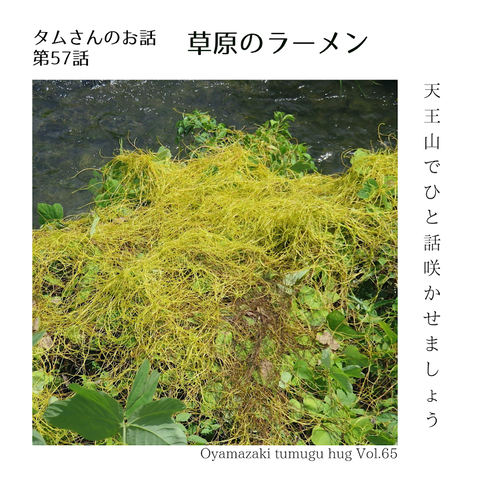 タムさんのお話 第57話 『草原のラーメン』