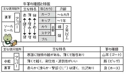 靴職人3-4