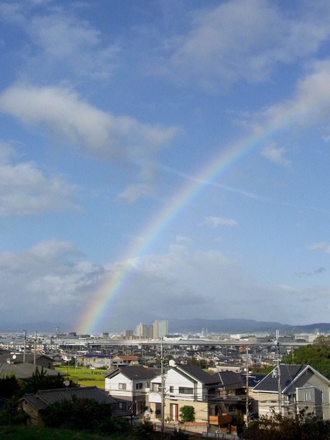 タムさんのお話 ㉙ 『時雨の贈り物』
