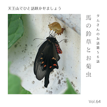 タムさんのお話　第56話「馬の鈴草とお菊虫」