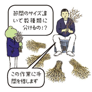 竹垣3