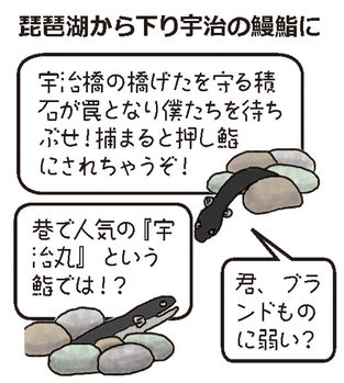 こよみ暮らしイラスト②