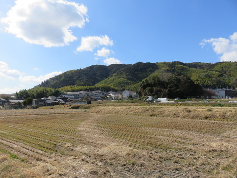 タムさんのお話60話「天王山」