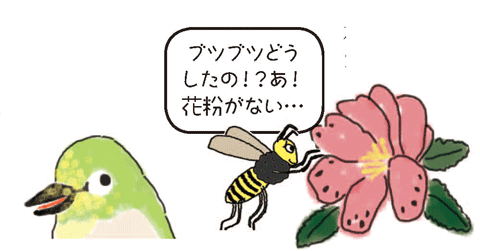 メジロイラスト2