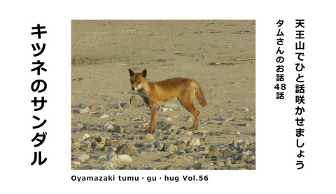 タムさんのお話 第48話　キツネのサンダル