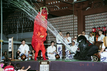 蜘蛛と対決しているところ