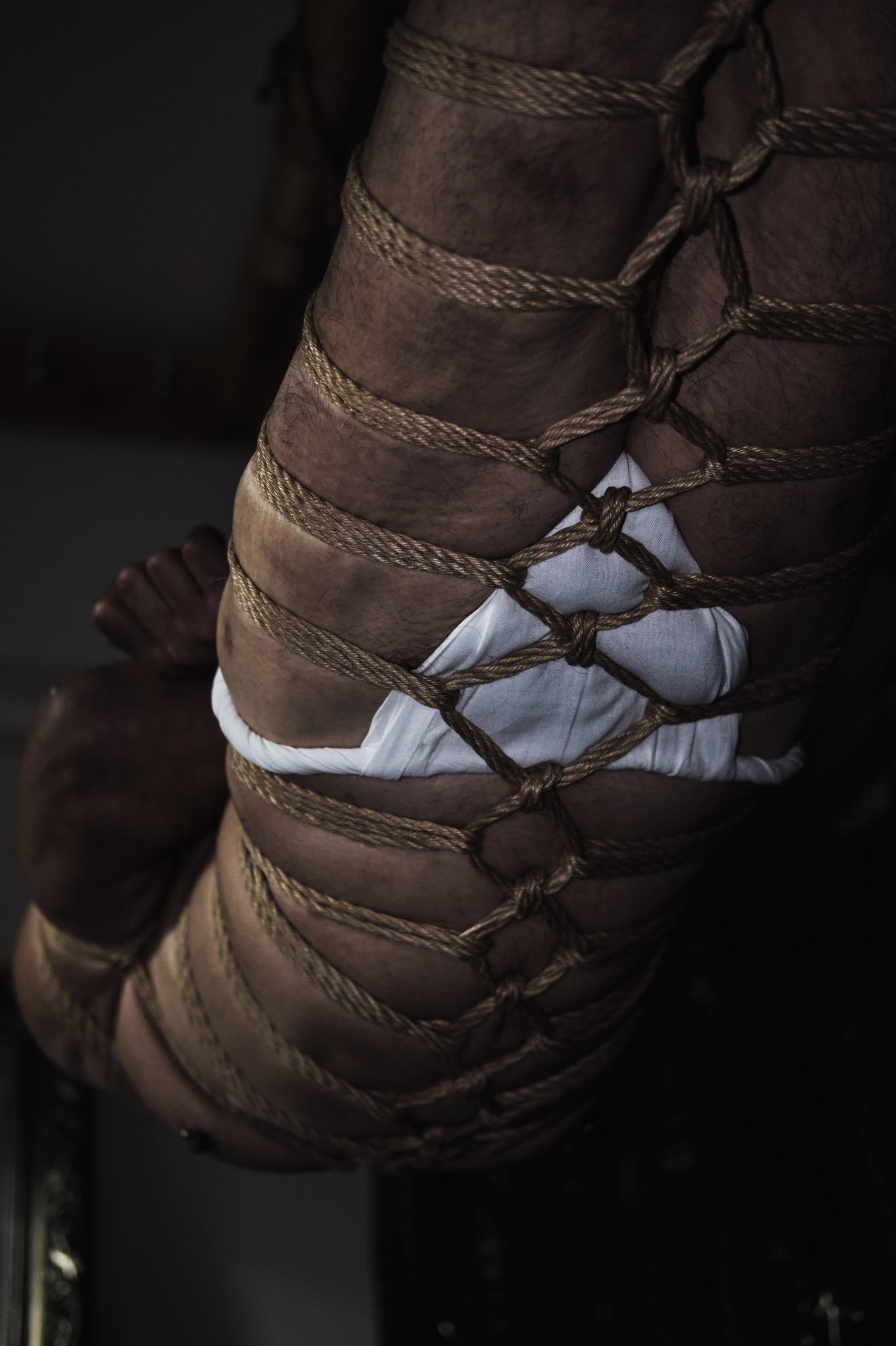 体