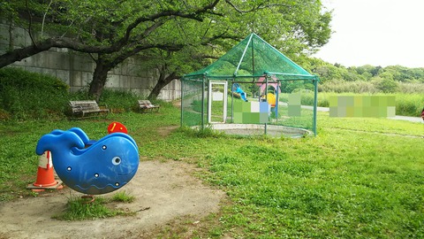 IMG_20210426_094016