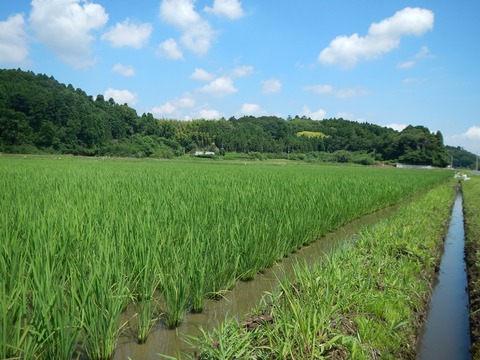 DSCN1569