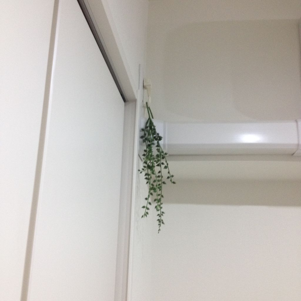 セリアとikeaのフェイクグリーンを飾る Hurry Up Tidy Up
