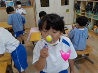 DSCN3138