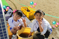 BlogPaint