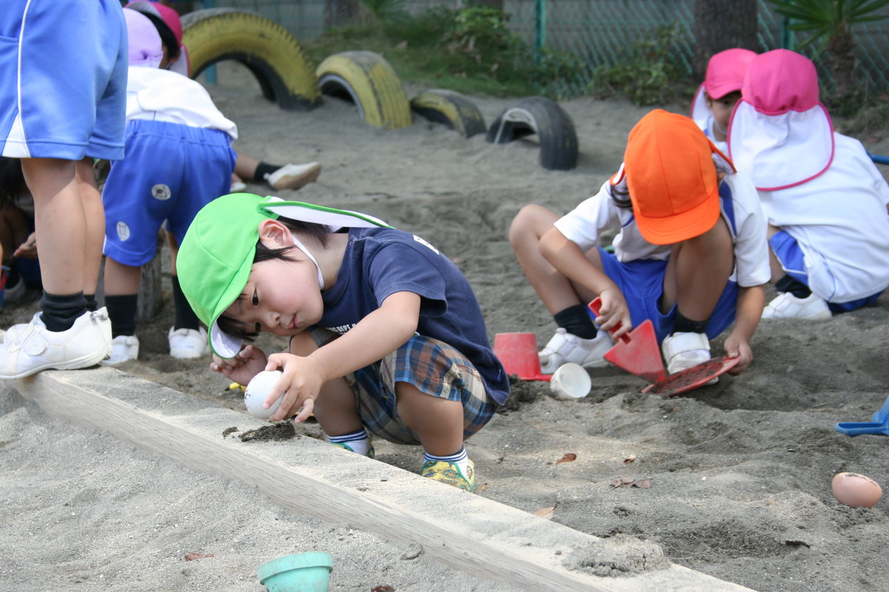千葉白菊幼稚園 1911 イカイカイルカ 千葉白菊幼稚園未就園児ブログ