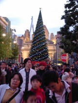 ���������Υĥ꡼