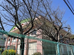 2023年3月16日北山本小学校の桜の木々