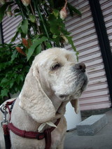 ����ͤȥ��å����Υ�ǥ���