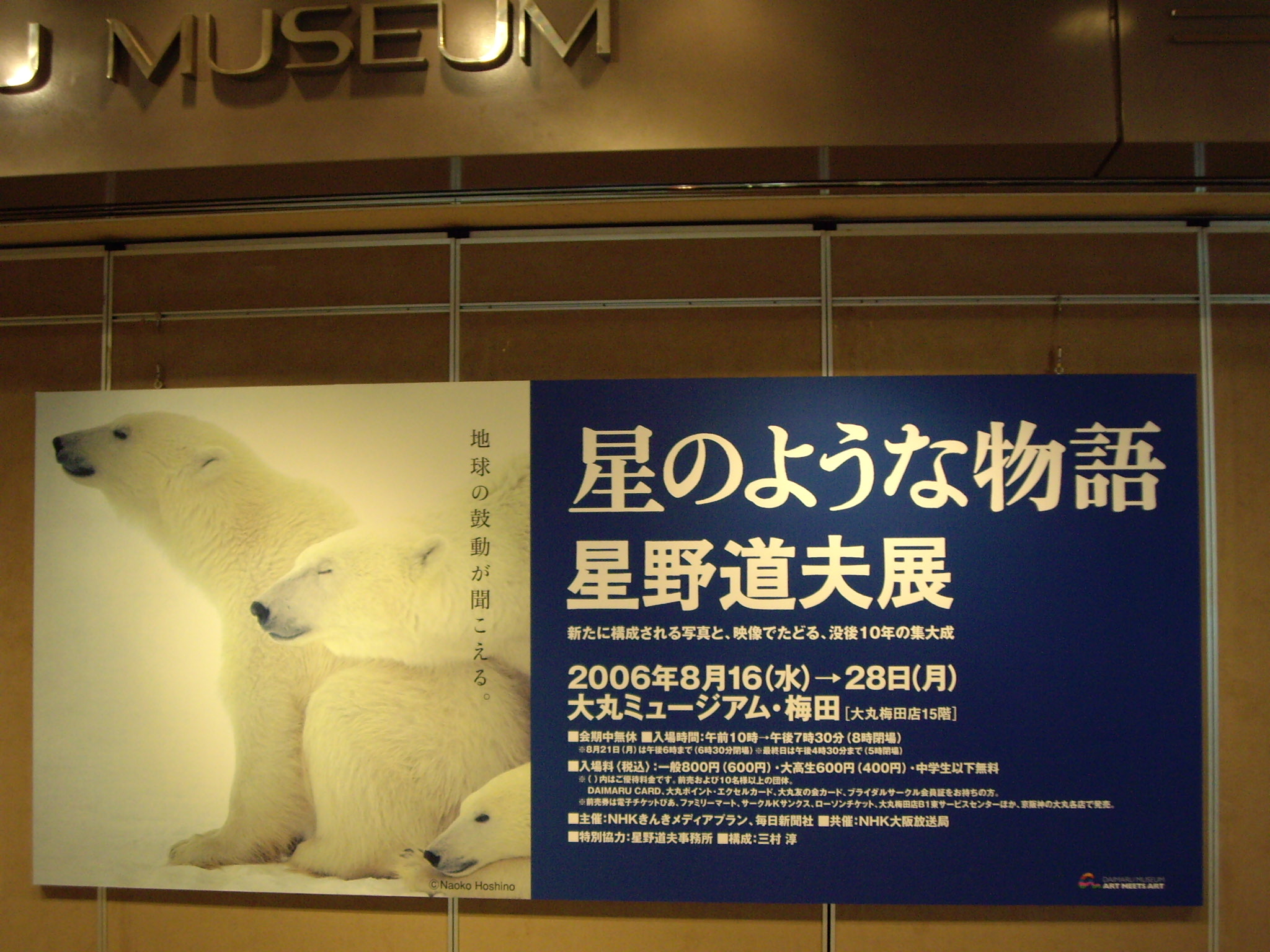 夏の終わりに癒されました 星野道夫写真展 In 大丸ミュージアム梅田 生き物 動物 植物についてのお話です