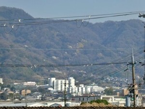 2025年3月26日午後の高安山の様子