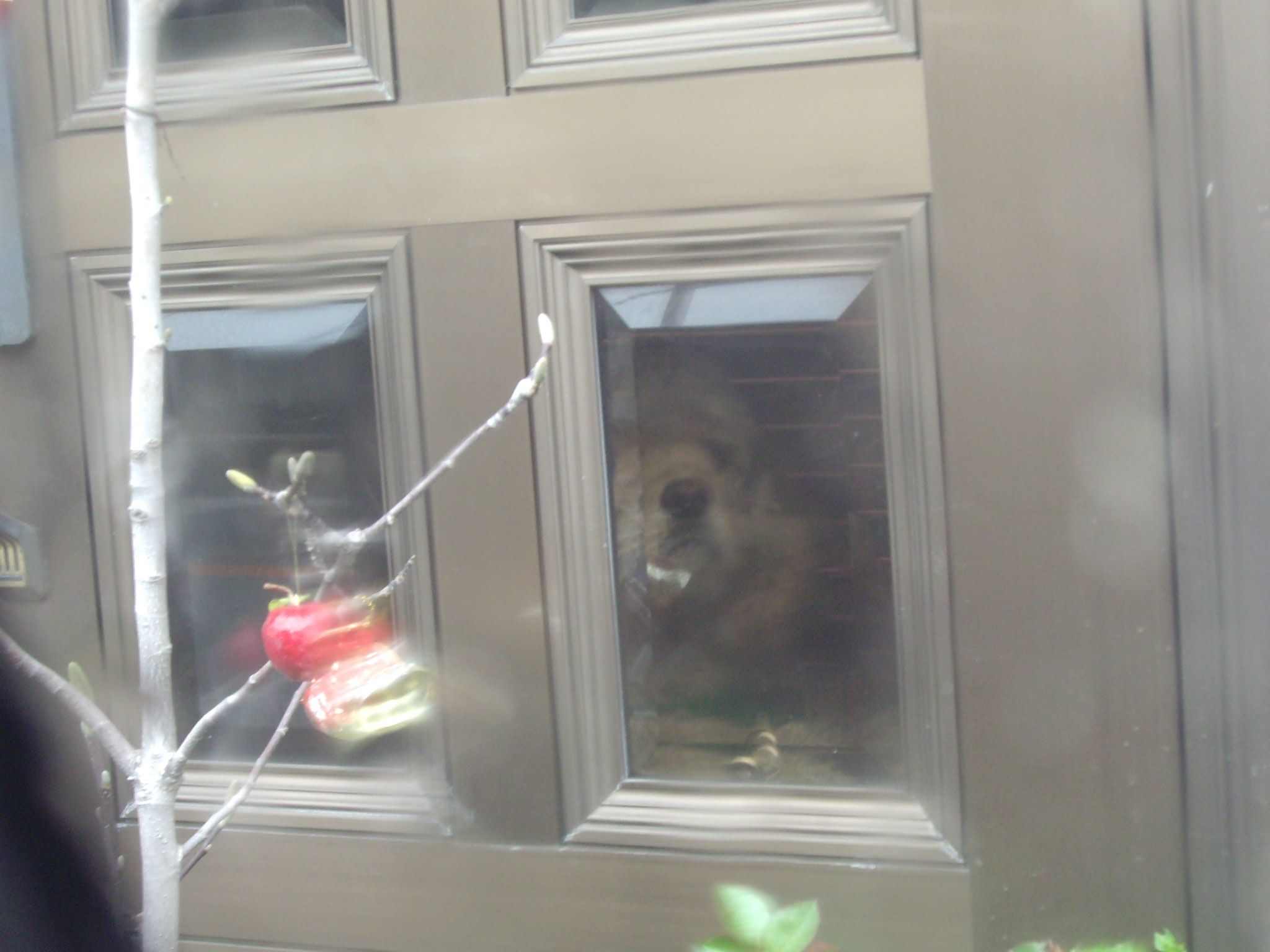 α���֥�ǥ���