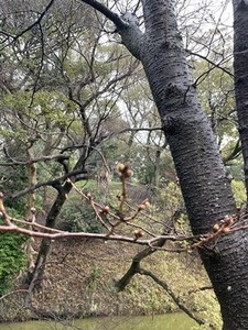 ŷ���������Ӥ��Фκ�3��23��