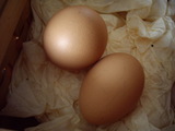 ޥ2