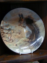 �ꥹ�γ���