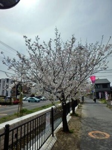 �̶���褤�κ�2026-04-06