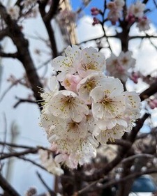 �������ܤκ��β�