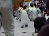 �ڥ󥮥�ѥ졼��2