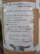 �»Ҹ���ĥ���