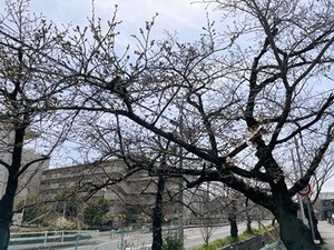 3/30��������褤�κ�����