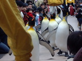 �ڥ󥮥�ѥ졼��3