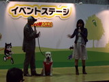 イベント出演中のワンコ