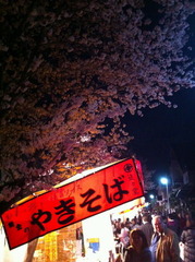 ����Ȳ���2013