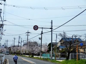 �̶���褤�κ����ڤα��2026-04-06