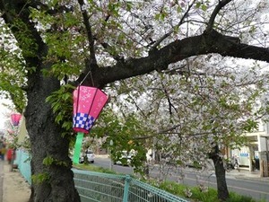 �պ��ˤʤäƤ������θ���4/2ͼ��