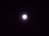 hspace=5