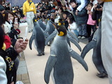 �ڥ󥮥�ѥ졼��6