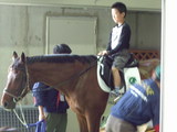 乗馬体験をする子供
