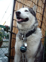 ��������������