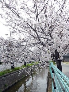 �̶���褤�Υ��ᥤ�襷�κ�����