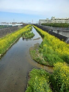 ������ξ�ߤκڤβ�2026