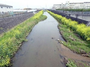 ���������դκڤβ֡�2024ǯ��