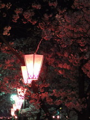 �ܤ�ܤ�����