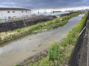 ������褤�κڤβ�2024ǯ