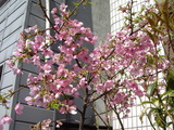 �餤�Ƥ�����