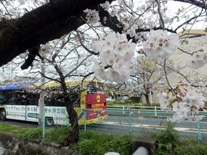 3/24�ζ̶���褤�Υ��ᥤ�襷��